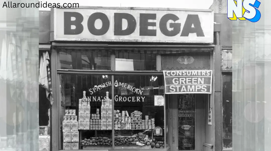 Bodega