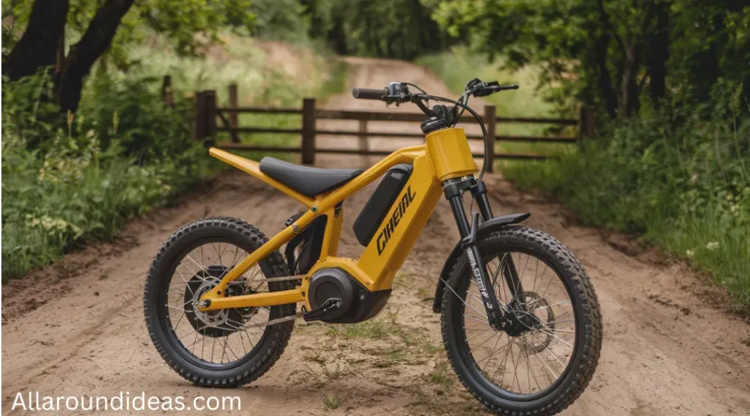 eclectric dirt bike